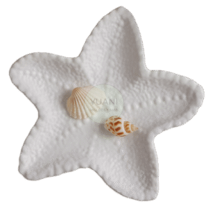 Molde bandejita estrella de mar